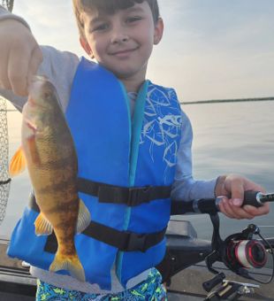 Yellow Perch: Pure Joy on the Hook!